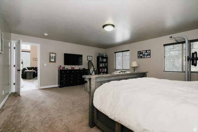 7203 East Cub River Road Preston, ID 83263 - Photo 14 of 33 Bedroom with light carpet and baseboards