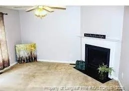 a view of a room with a fireplace and potted plant
