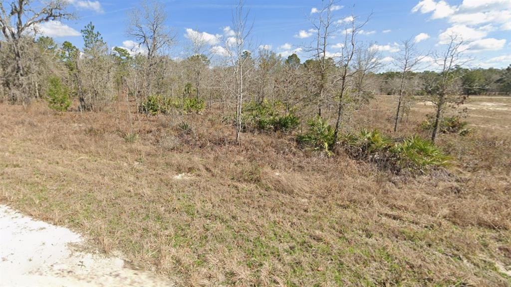 Courlan Road Weeki Wachee, FL 34614 - Photo 4 of 4