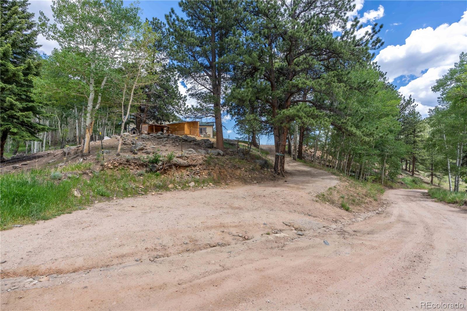 109 Heide Road Shawnee, CO 80475 - Photo 25 of 34