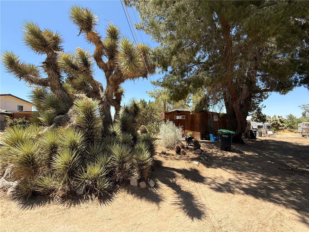 10623 Desert View Road Pinon Hills, CA 92372 - Photo 67 of 76 a view of a backyard of the house
