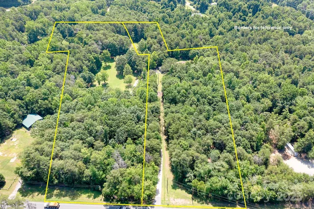 a view of a garden with plants
