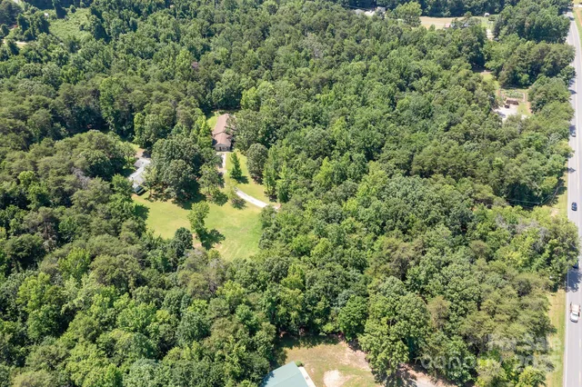a view of a forest with a houses of a forest