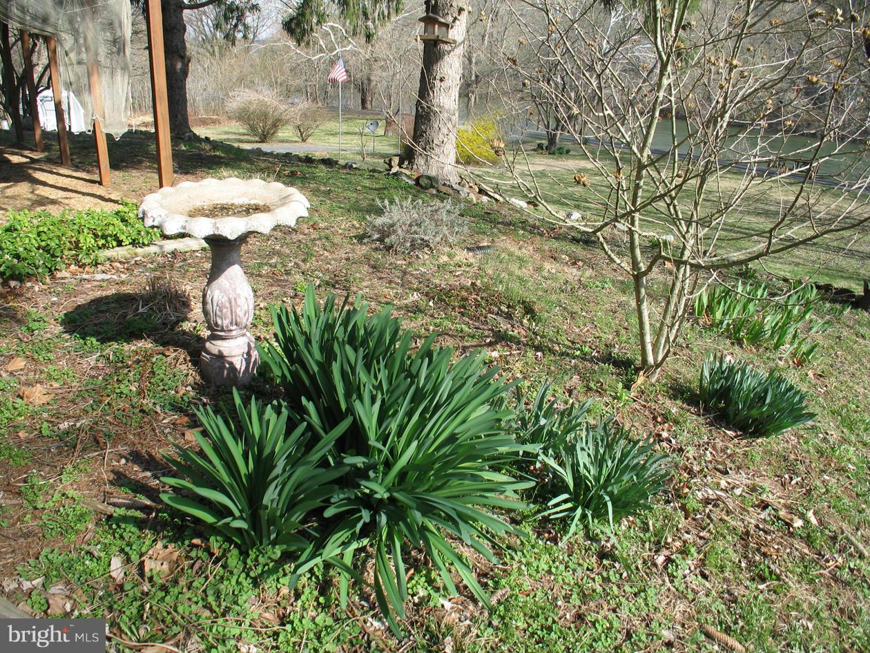 1482 Bennys Beach Road Front Royal, VA 22630 - Photo 24 of 27 Gardens