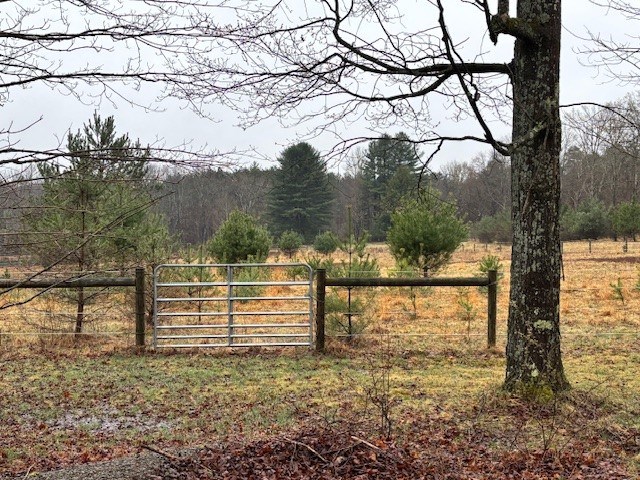 5226 Blood Road Marienville, PA 16239 - Photo 40 of 44 a view of a yard with a tree