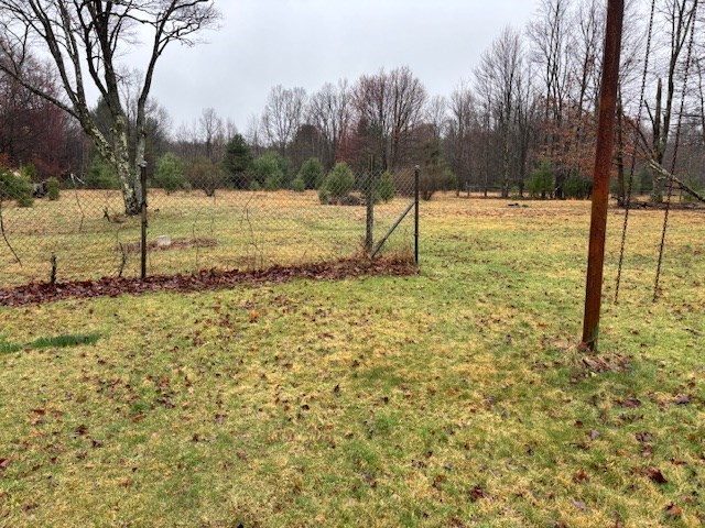 5226 Blood Road Marienville, PA 16239 - Photo 41 of 44 a view of a yard with trees