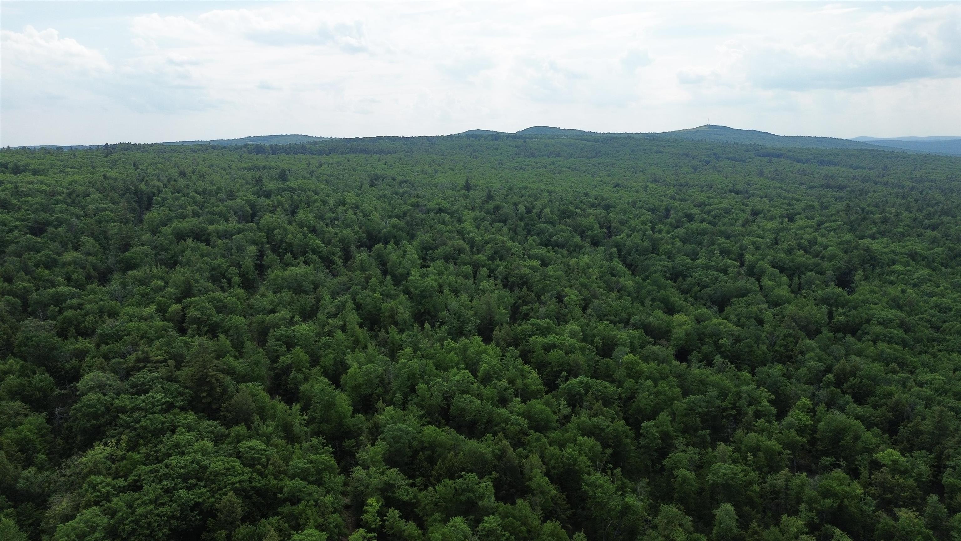 231 Valley Road New Durham, NH 03855 - Photo 11 of 19