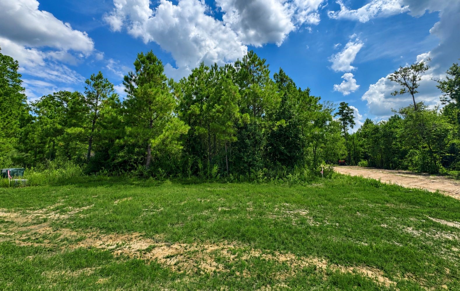 12696 Oak Barrel Road Willis, TX 77378 - Photo 3 of 19 Gallery Image 3