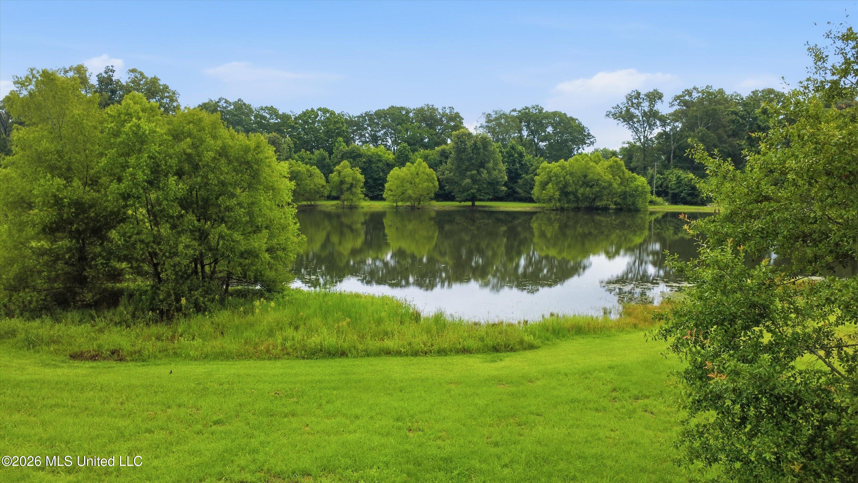 142 Iron Oak Ridge Brandon, MS 39042 - Photo 15 of 26 19-142_Iron_Oak_Ridgee_020
