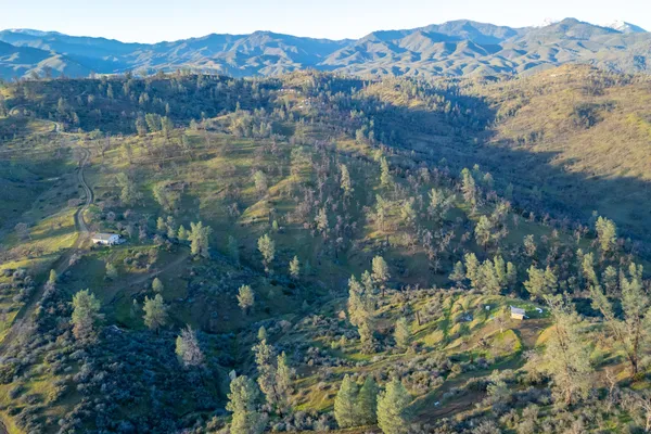 a view of a forest with mountains in the background