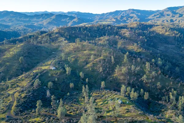 a view of a mountain with a forest