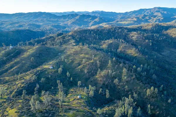 a view of a forest with mountains in the background