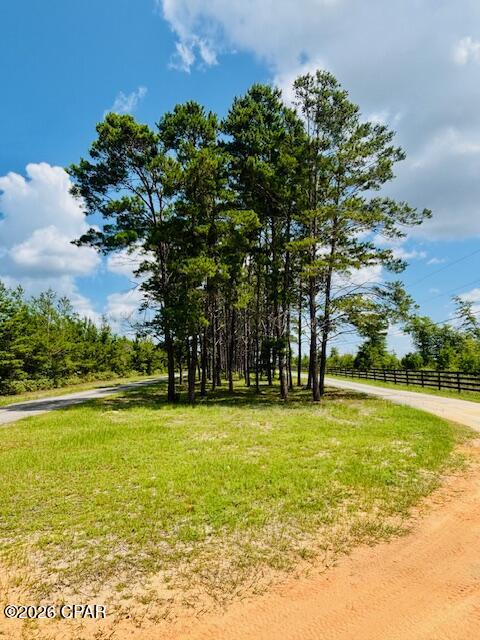 0 Lake Ridge Drive Chipley, FL 32428 - Photo 19 of 21