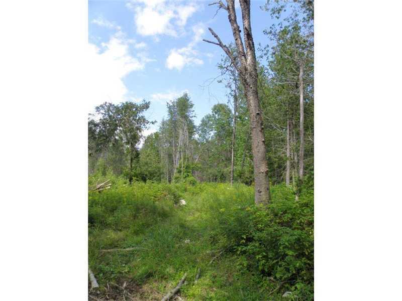 Lot 5-6 Pullen Road Dexter, ME 04930 - Photo 4 of 18 Land/Lot. Cedar being selectively...