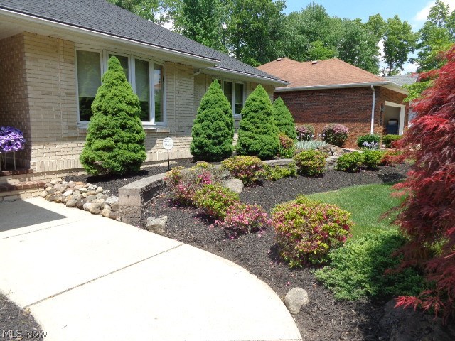 Front Yard Landscaping