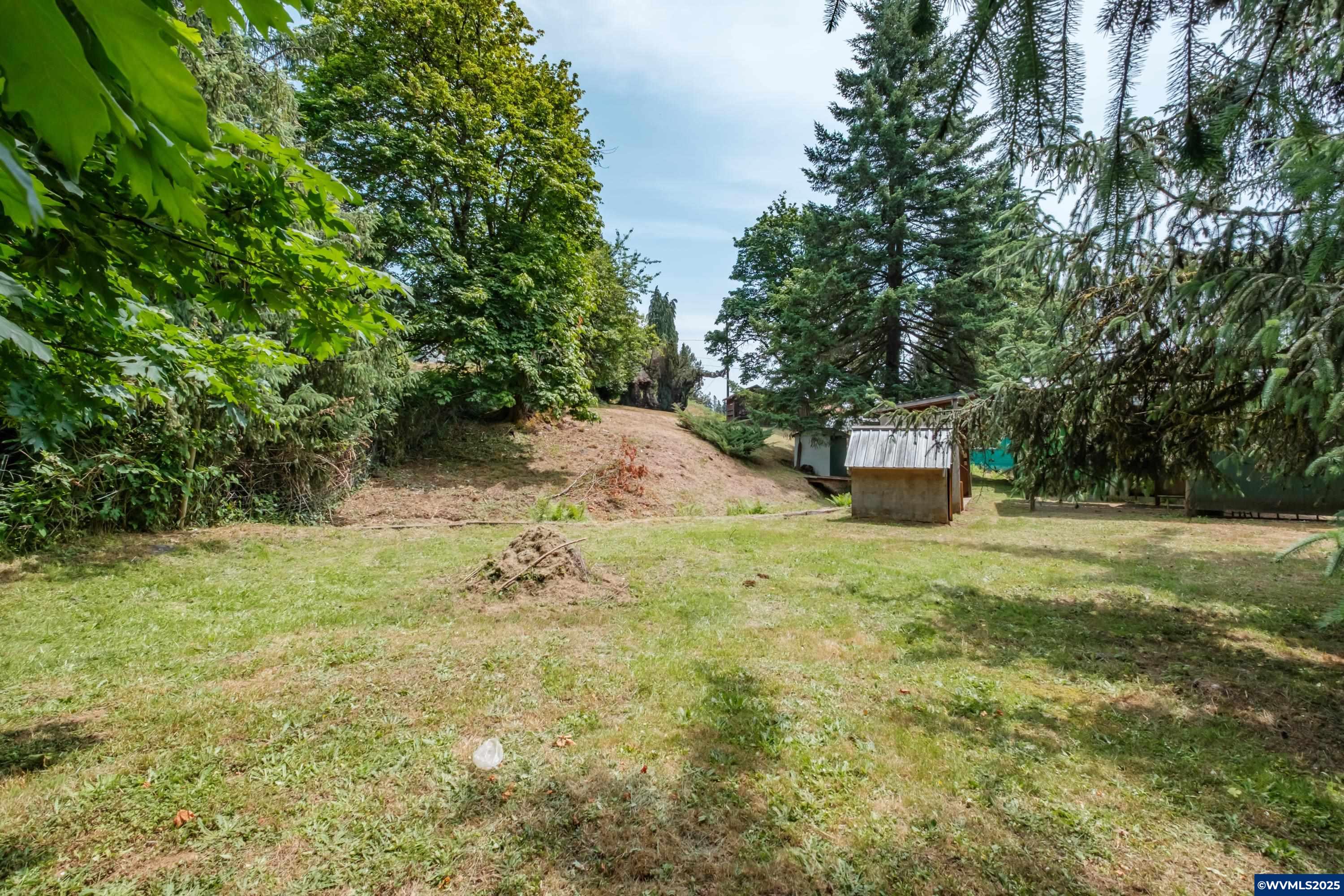 554 Mitchell Street Falls City, OR 97344 - Photo 32 of 50