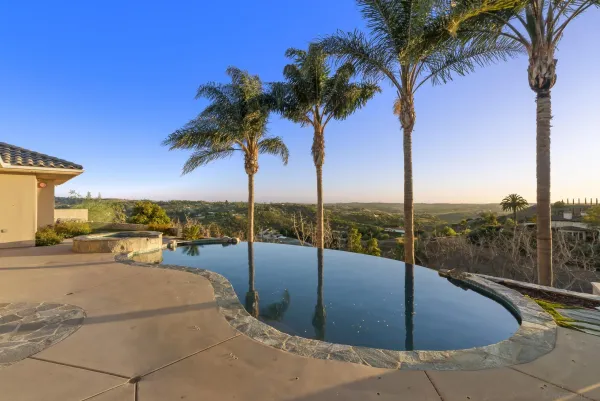 a view of a yard with palm trees
