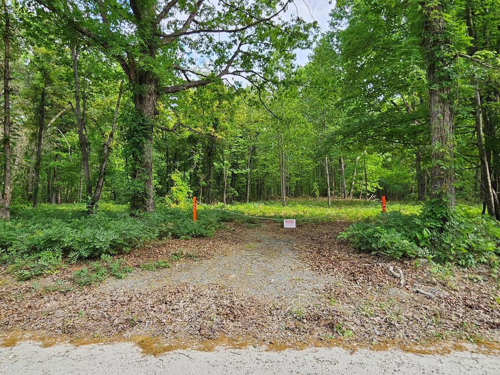 664 8.65 Ac Pond Road Buckingham, VA 23921 - Photo 2 of 20 Gallery Image 2