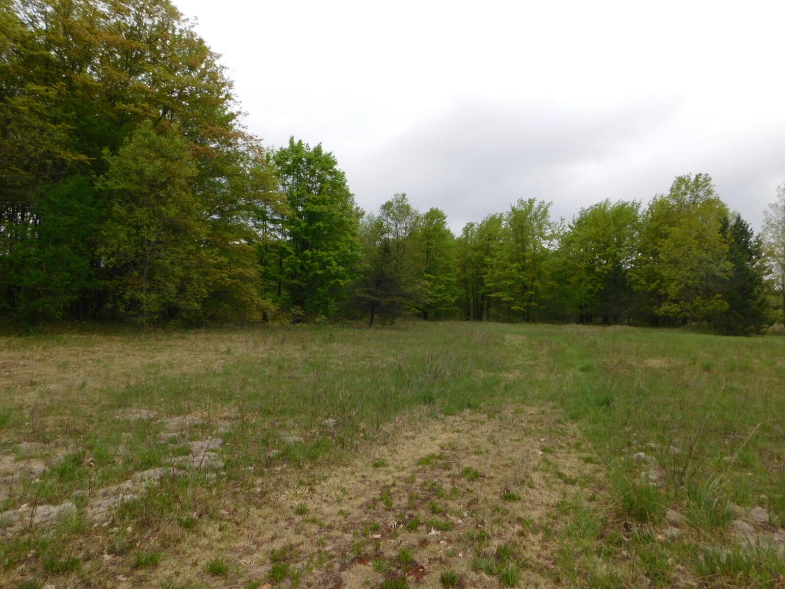 Post Road Frederic, MI 49733 - Photo 10 of 30 Gallery Image 10