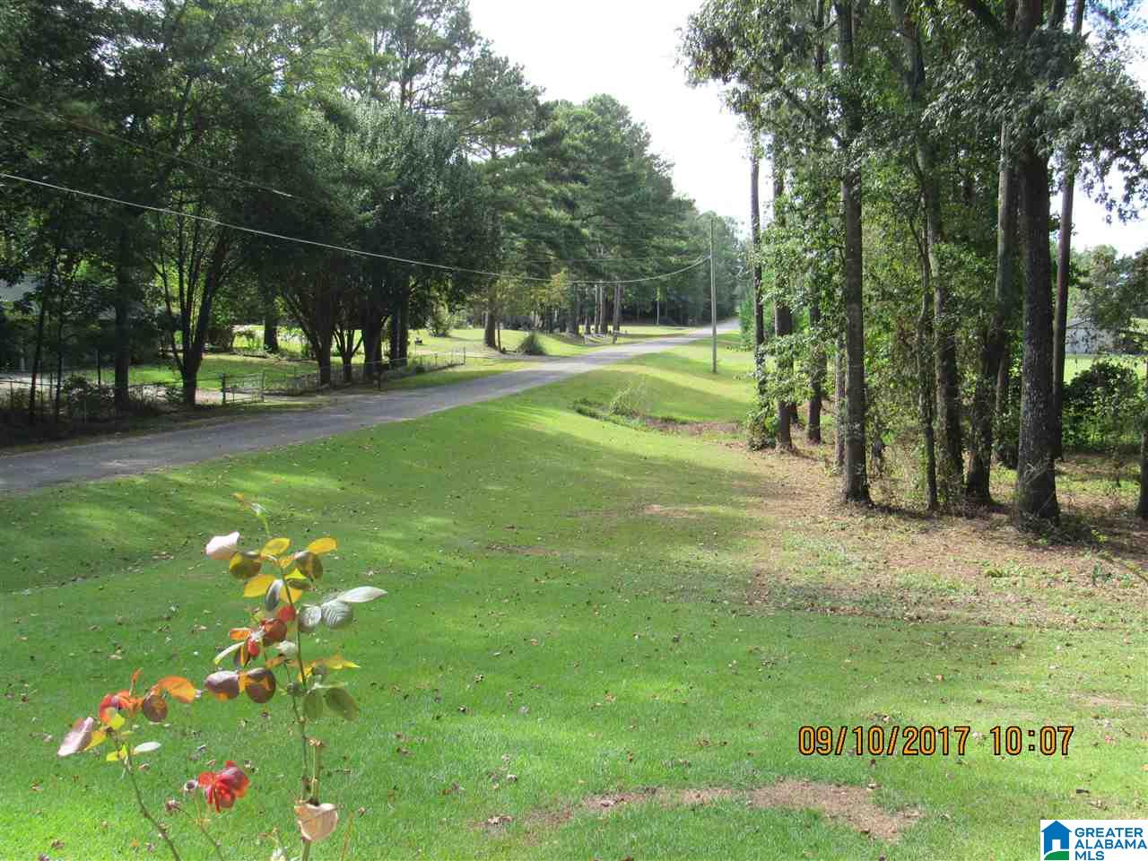 36 County Road 763 Clanton, AL 35046 - Photo 20 of 50