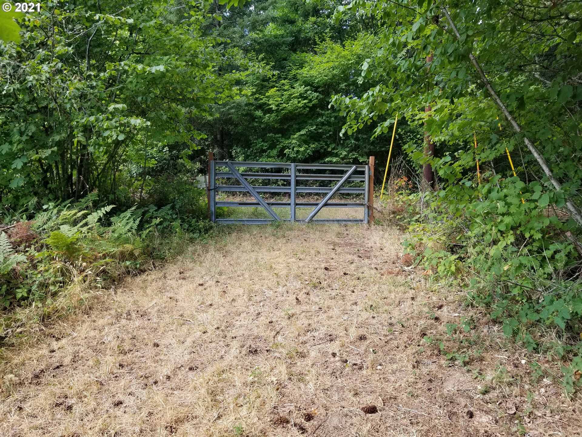 31302 Siercks Road Scappoose, OR 97056 - Photo 30 of 32 Pasture