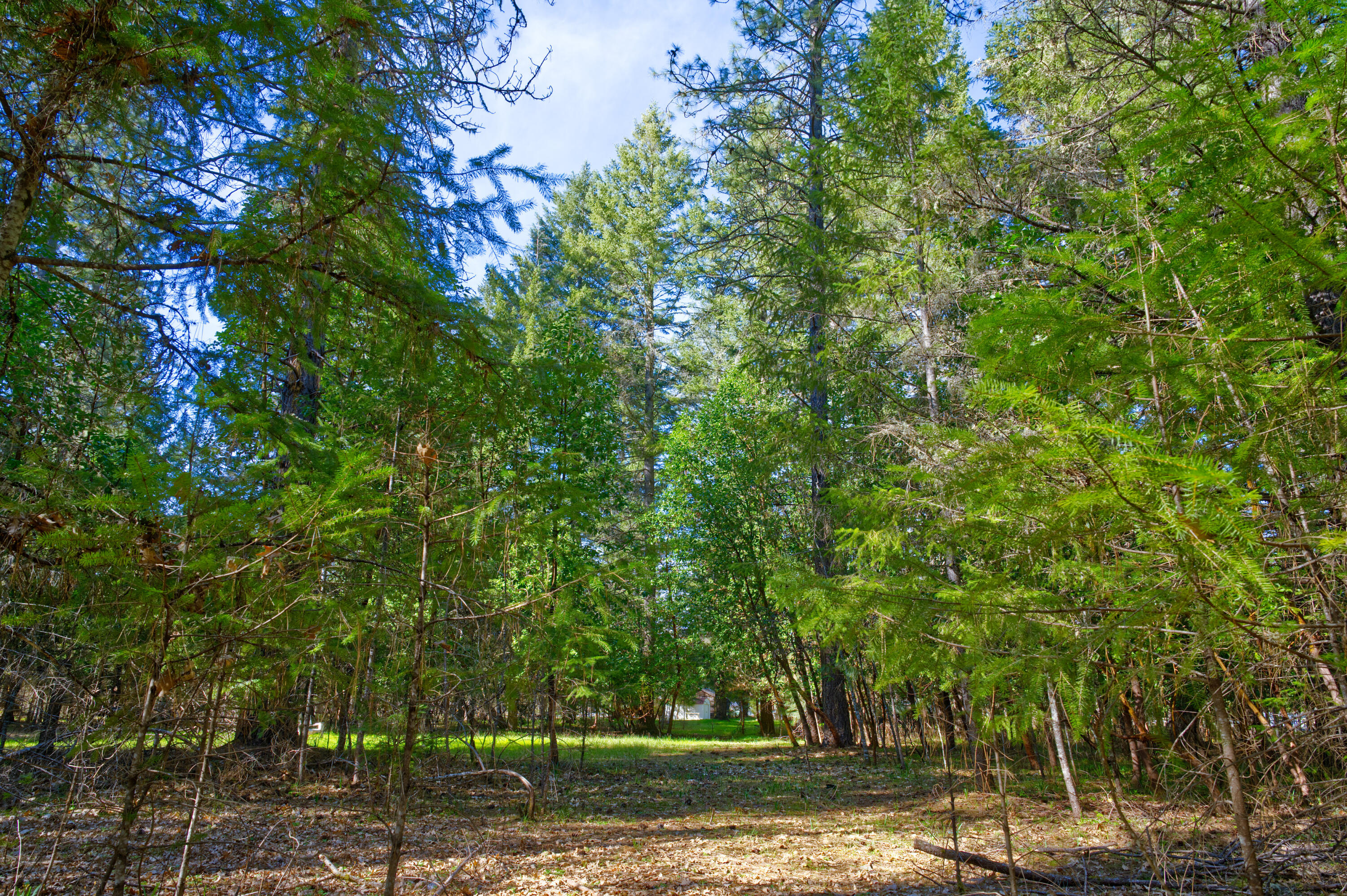 389 Boyer Road Grants Pass, OR 97526 - Photo 1 of 15 AKM_4940