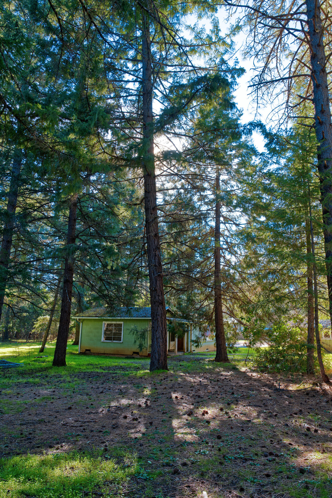 389 Boyer Road Grants Pass, OR 97526 - Photo 12 of 15 AKM_4952