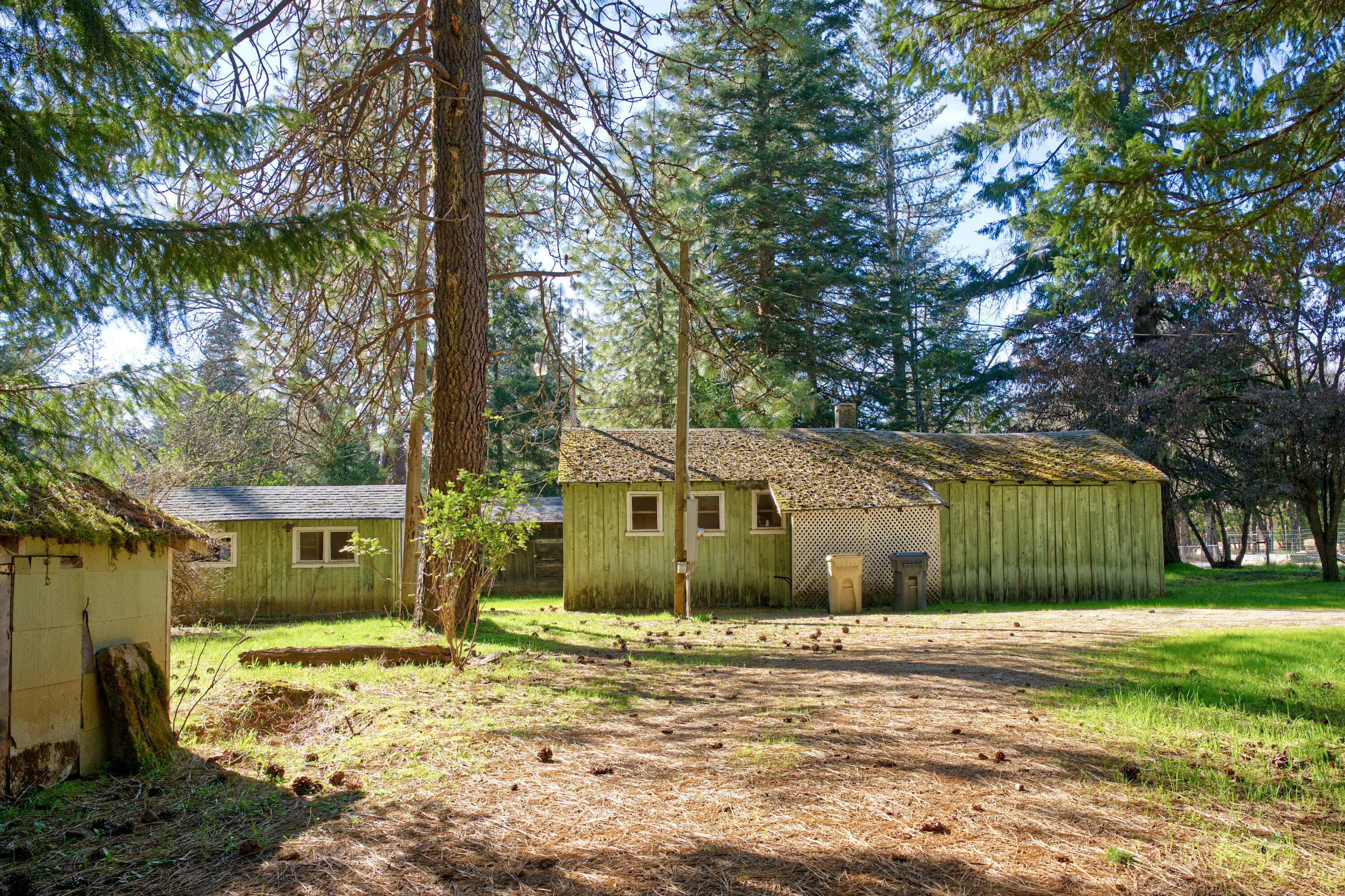 389 Boyer Road Grants Pass, OR 97526 - Photo 5 of 15 AKM_4932