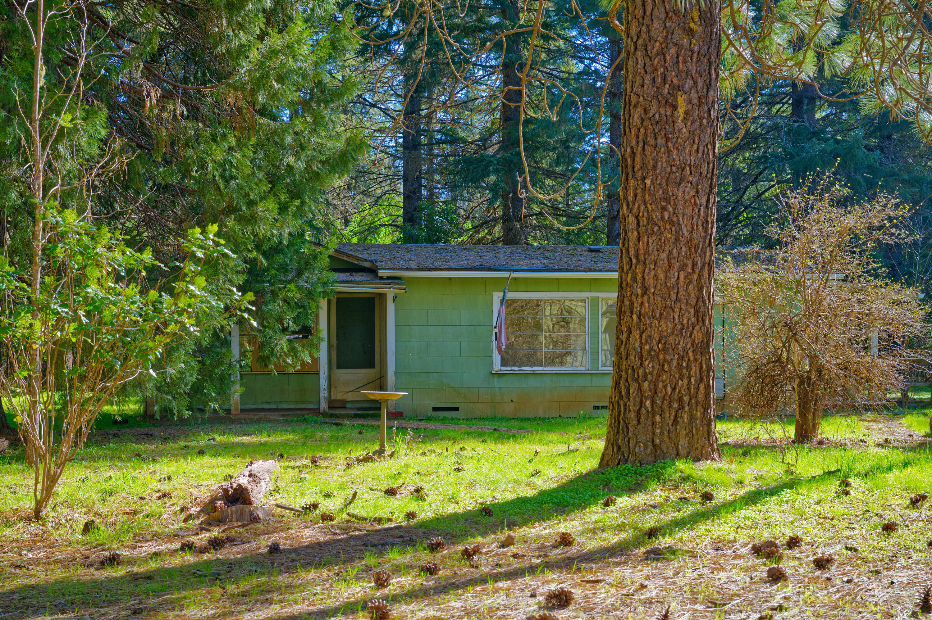 389 Boyer Road Grants Pass, OR 97526 - Photo 7 of 15 AKM_4935