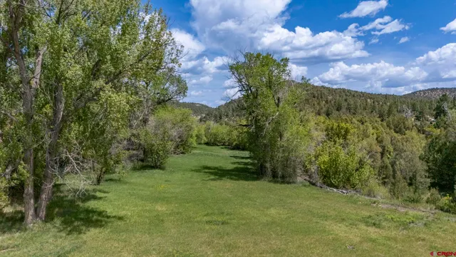 a view of a yard with an trees
