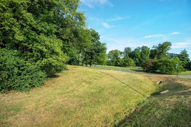 a view of a yard with a tree