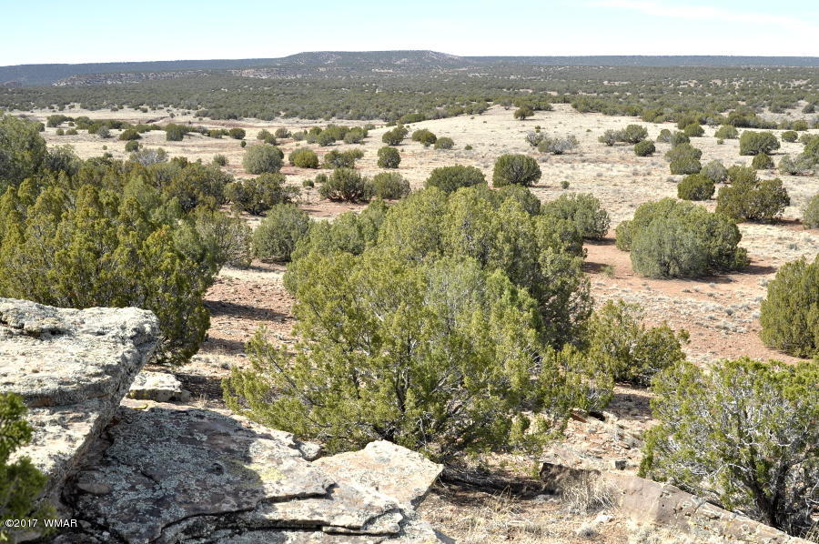 142 Woodridge Ranch Concho, AZ 85924 - Photo 1 of 17