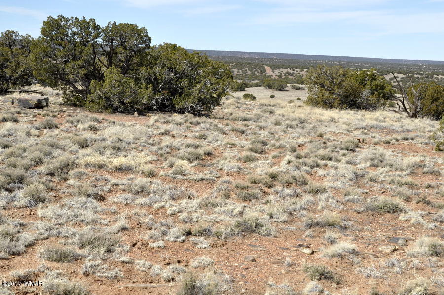 142 Woodridge Ranch Concho, AZ 85924 - Photo 11 of 17