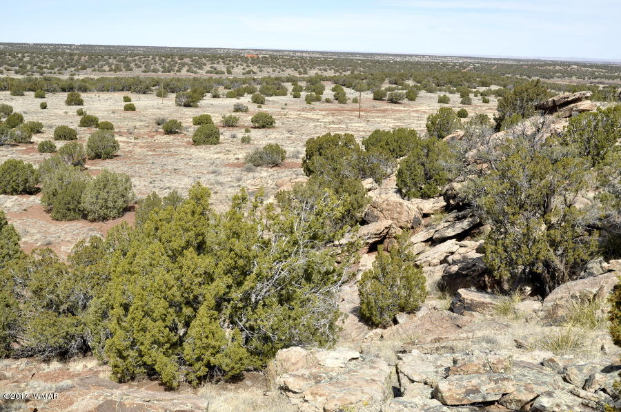 142 Woodridge Ranch Concho, AZ 85924 - Photo 13 of 17