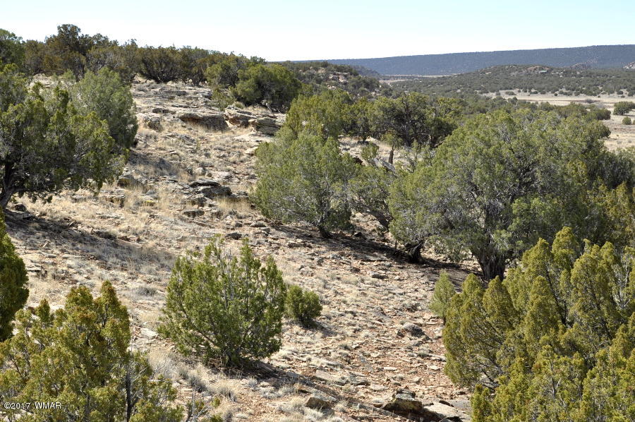 142 Woodridge Ranch Concho, AZ 85924 - Photo 14 of 17
