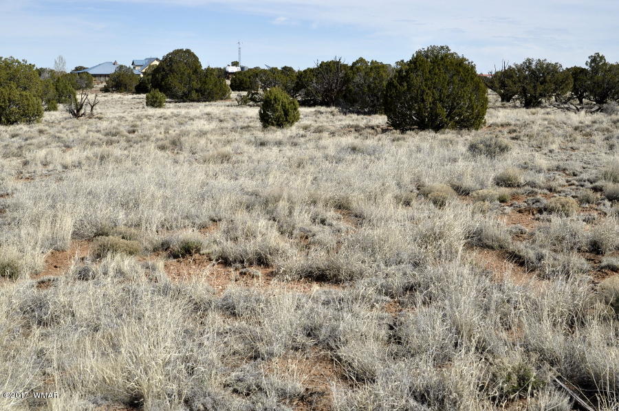 142 Woodridge Ranch Concho, AZ 85924 - Photo 15 of 17