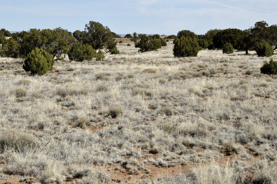 142 Woodridge Ranch Concho, AZ 85924 - Photo 16 of 17