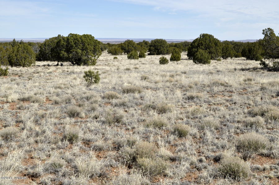 142 Woodridge Ranch Concho, AZ 85924 - Photo 17 of 17