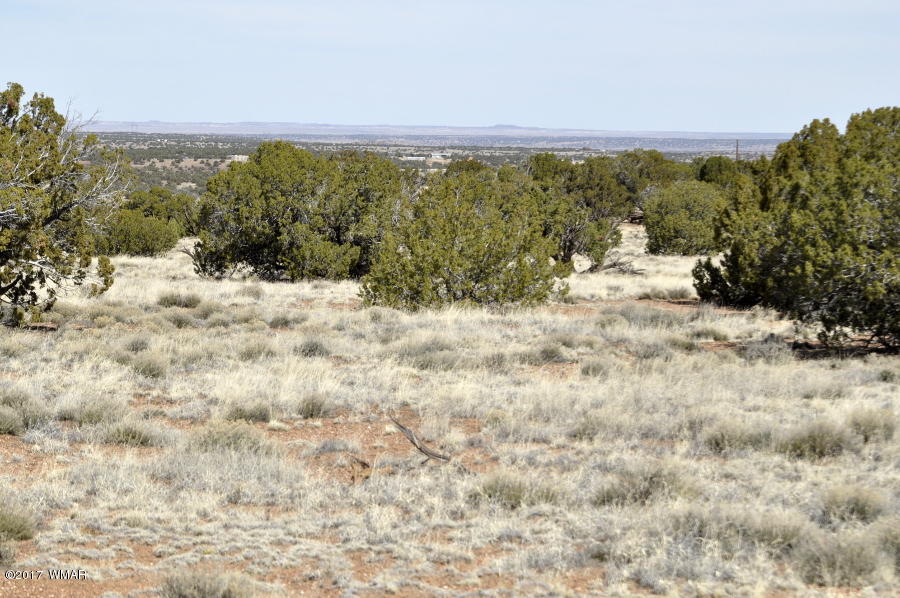 142 Woodridge Ranch Concho, AZ 85924 - Photo 2 of 17