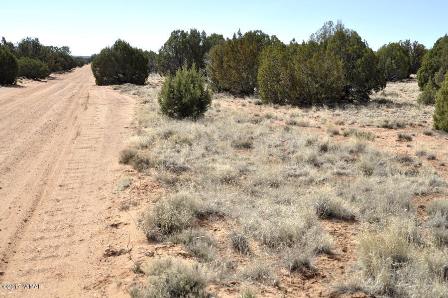 142 Woodridge Ranch Concho, AZ 85924 - Photo 3 of 17