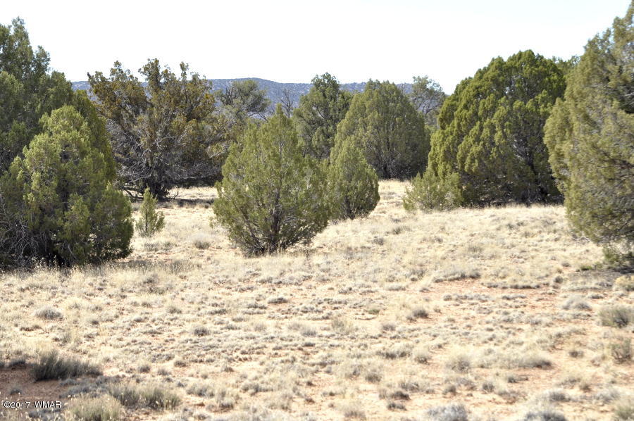 142 Woodridge Ranch Concho, AZ 85924 - Photo 4 of 17