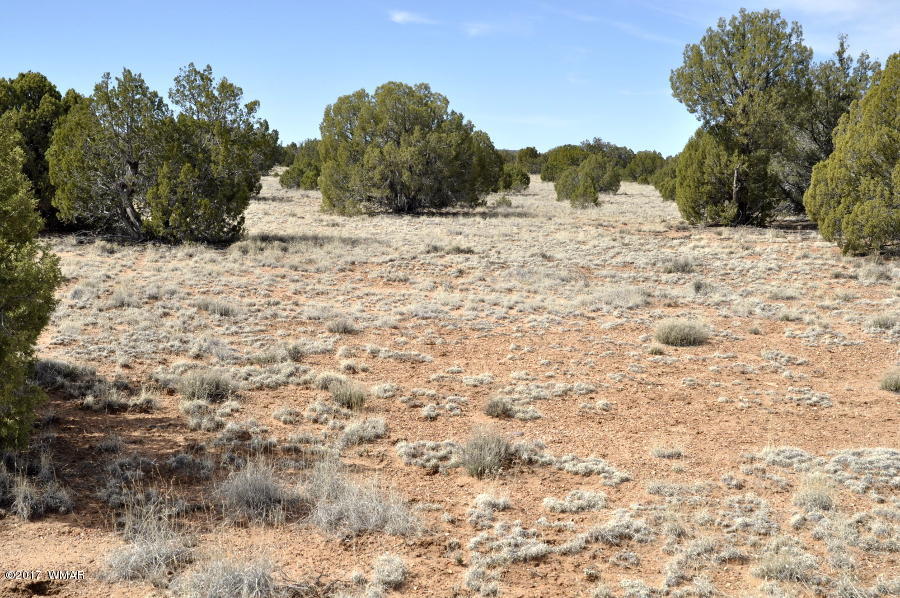 142 Woodridge Ranch Concho, AZ 85924 - Photo 5 of 17