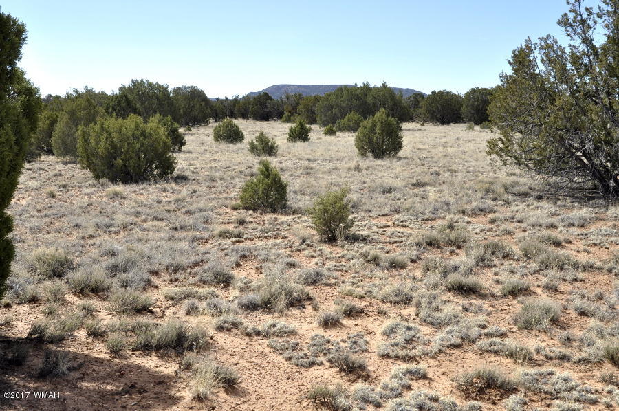 142 Woodridge Ranch Concho, AZ 85924 - Photo 6 of 17