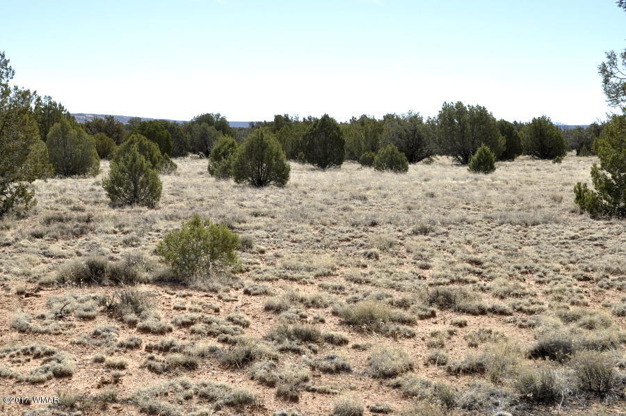 142 Woodridge Ranch Concho, AZ 85924 - Photo 7 of 17
