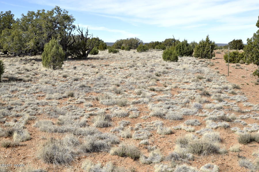 142 Woodridge Ranch Concho, AZ 85924 - Photo 8 of 17