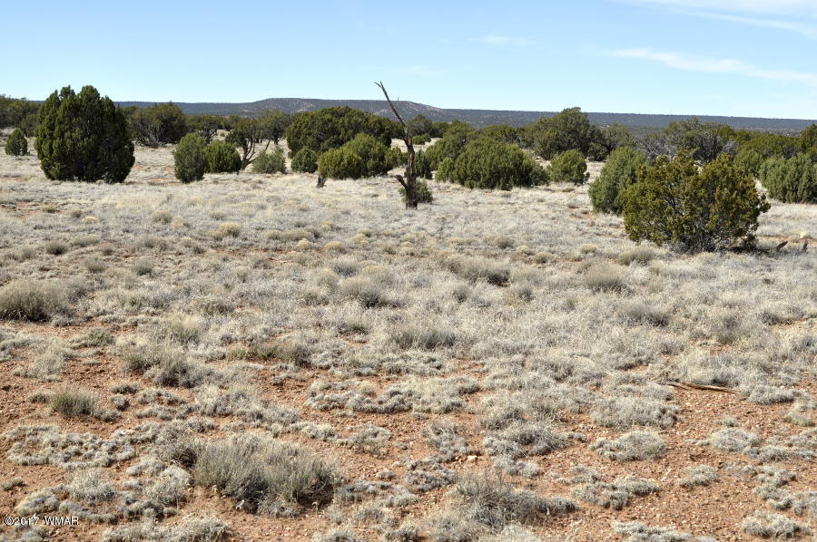 142 Woodridge Ranch Concho, AZ 85924 - Photo 9 of 17