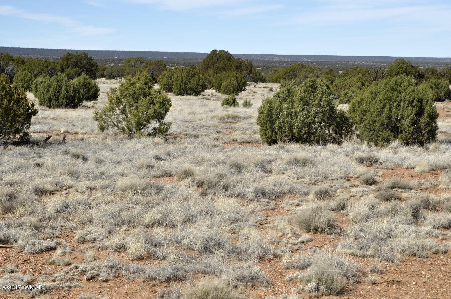 142 Woodridge Ranch Concho, AZ 85924 - Photo 10 of 17