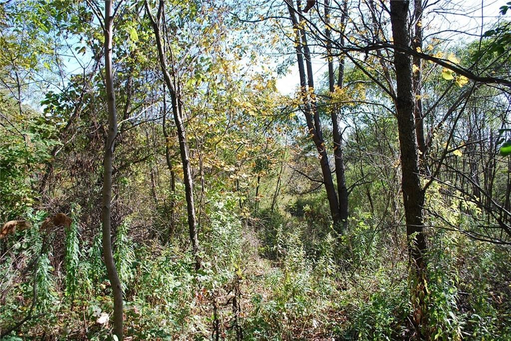 0 Esperanza Road Keuka Park, NY 14478 - Photo 12 of 33