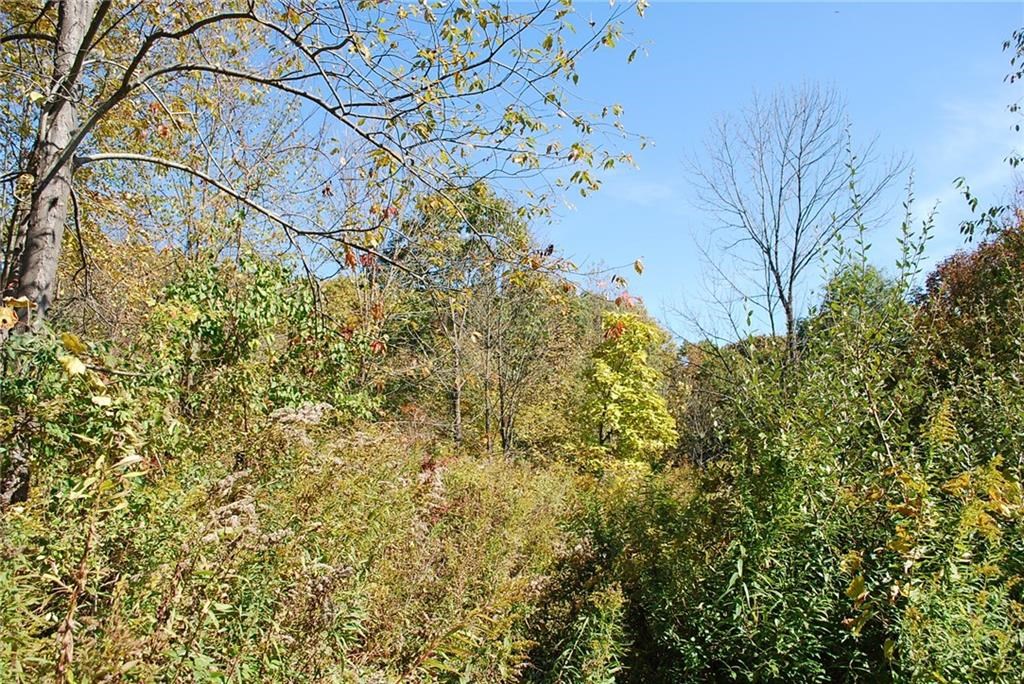 0 Esperanza Road Keuka Park, NY 14478 - Photo 13 of 33