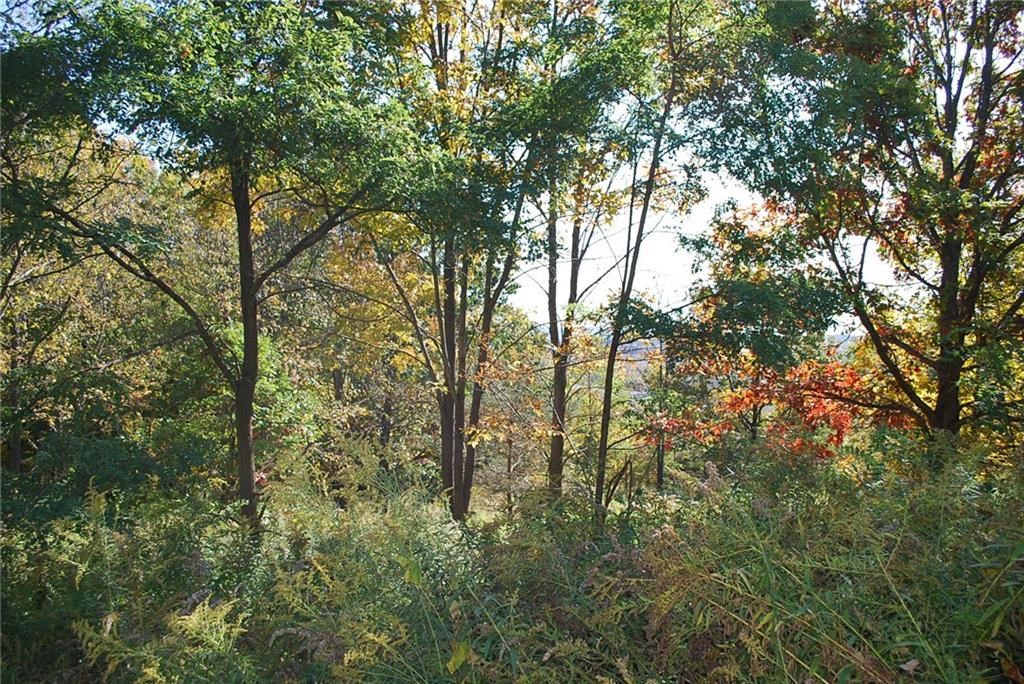 0 Esperanza Road Keuka Park, NY 14478 - Photo 14 of 33